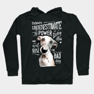 Dog love Hoodie